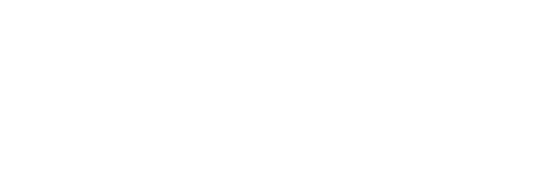 Lesanka_logo_horizontal_white